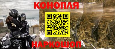 прущие грибы Заводоуковск