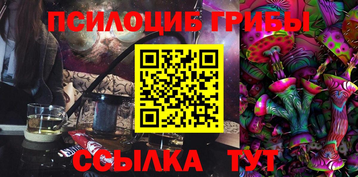 Псилоцибиновые грибы Psilocybine cubensis Ликино-Дулёво